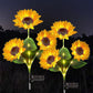 🌻 Lămpi solare în formă de floare de soare – Pornire/oprire automată, 14 ore de lumină și rezistență la apă IP65, perfecte pentru grădină și terasă ✨☀️