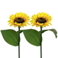 🌻 Lămpi solare în formă de floare de soare – Pornire/oprire automată, 14 ore de lumină și rezistență la apă IP65, perfecte pentru grădină și terasă ✨☀️