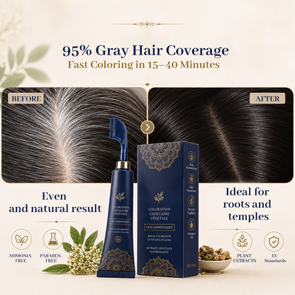 🛡️Ammonia-Free & Gentle, Plant-Based💇 Comb-In Hair Color – Sensitive Scalp Friendly | Perfect for Those Sensitive to Ammonia, Safe At-Home Coloring ✨
