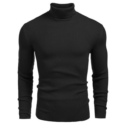 👔Slim & Versatile, 13 Colors🧶 Men's Turtleneck Sweater – Classic Solid, Business & Casual ✨