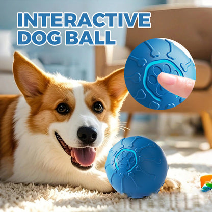 🐕Minge interactivă pentru câini