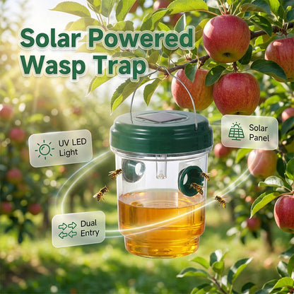🔥🐝 Capcană Solară pentru Viespi – Suspendată & Eficientă! ☀️🌿