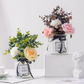 💥 Comprimate efervescente cu puternică acțiune antibacteriană pentru flori 🧴
