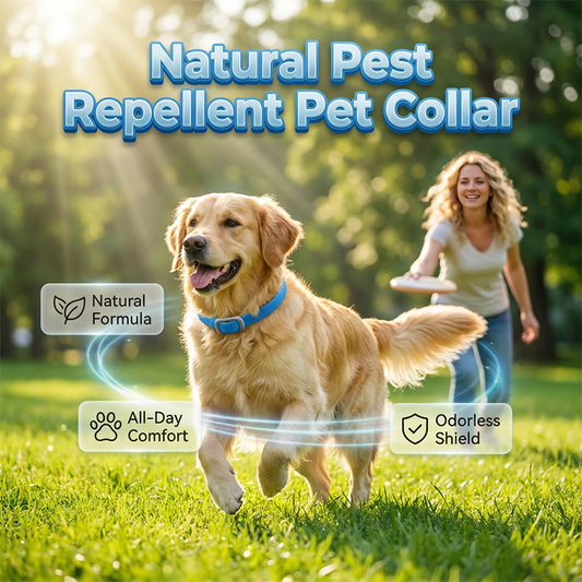 🐕 Zgardă cu uleiuri esențiale naturale pentru alungarea dăunătorilor de la animale de companie 💥