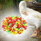 🐔✨ Inele Marcatoare Reglabile pentru Păsări – Ușor de Pus și Vizibile! 🏷️🌈