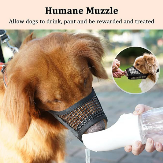 🐶✨ Botniță Respiabilă din Plasă pentru Câini Mici – Siguranță Maximă, Aerisire Perfectă și Confort deplin! 🦮🛡️
