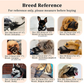🐶✨ Botniță Respiabilă din Plasă pentru Câini Mici – Siguranță Maximă, Aerisire Perfectă și Confort deplin! 🦮🛡️