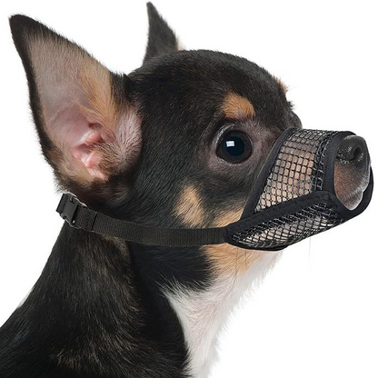 🐶✨ Botniță Respiabilă din Plasă pentru Câini Mici – Siguranță Maximă, Aerisire Perfectă și Confort deplin! 🦮🛡️