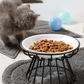 🐱 Bol de Ceramică pentru Pisici pe Suport Înalt din Fier – Mese Confortabile și Sănătoase pentru Prietenul Tău Blănos! 🍽️