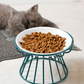 🐱 Bol de Ceramică pentru Pisici pe Suport Înalt din Fier – Mese Confortabile și Sănătoase pentru Prietenul Tău Blănos! 🍽️