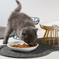 🐱 Bol de Ceramică pentru Pisici pe Suport Înalt din Fier – Mese Confortabile și Sănătoase pentru Prietenul Tău Blănos! 🍽️