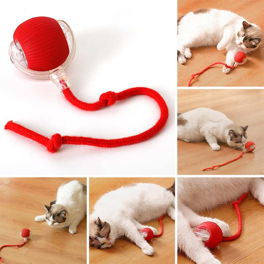 🐱 Mențineți animalul de companie activ 🐶 Smart automat de rulare Pet Ball