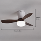💡🌀 Plafonieră LED cu Ventilator și Telecomandă: Lumină & Răcire Silențioasă! 🏠✨