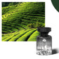 🌸 Parfum Auto 110ml de Lungă Durată | Prospețime Continuă & Design Elegant 🚗✨