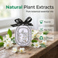 💥Cumpără 1 și primești 4 gratis ! 🚗🌸 Parfum Auto Suspendat pe Bază de Carton | Aromă Plăcută & Design Elegant ✨
