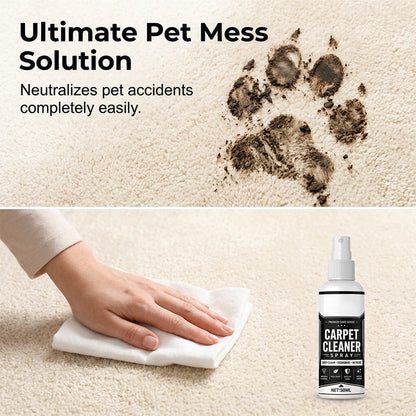 🛋️ Deep Clean Carpet Spray – Industrial-Strength Formula | Perfect for Auto Interiors, Sofas & Rugs, Effortless Stain Removal ✨